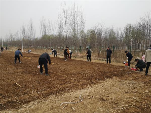 種(zhǒng)菜小1.jpg 種(zhǒng)菜小1.jpg