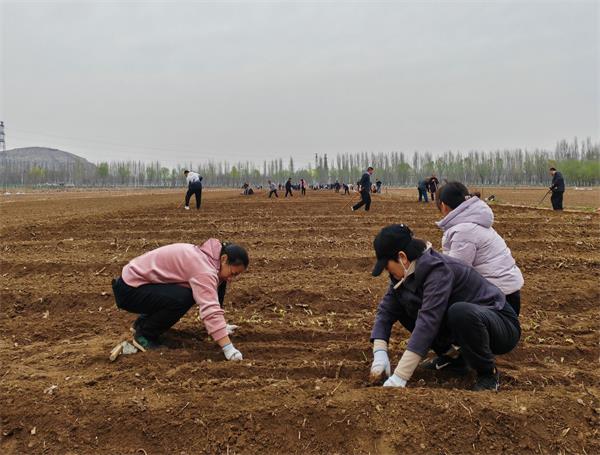 種(zhǒng)菜小2.jpg 種(zhǒng)菜小2.jpg