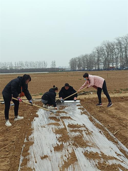 種(zhǒng)菜小4.jpg 種(zhǒng)菜小4.jpg