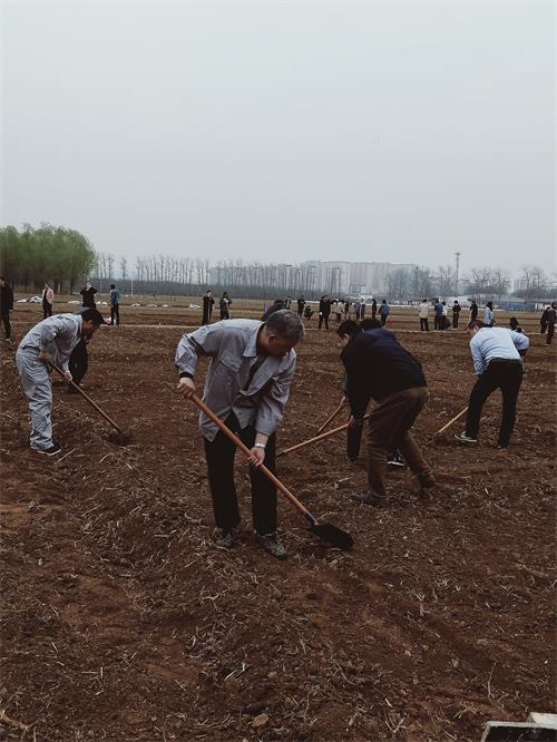 種(zhǒng)菜小5.jpg 種(zhǒng)菜小5.jpg